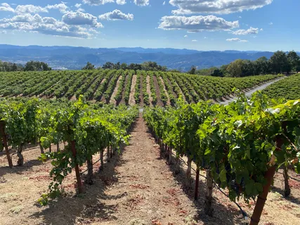 $1,795,000 | 31920 Pine Mountain Road, Cloverdale, CA 95425