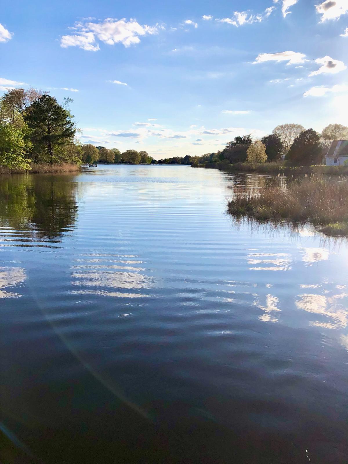 4595 Boone Creek Road Oxford, MD 21654 - Photo 7 of 15 a view of a lake in middle of forest