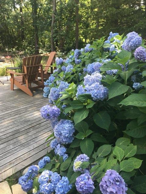 5 Chickadee Lane Centerville, MA 02632 - Photo 5 of 22