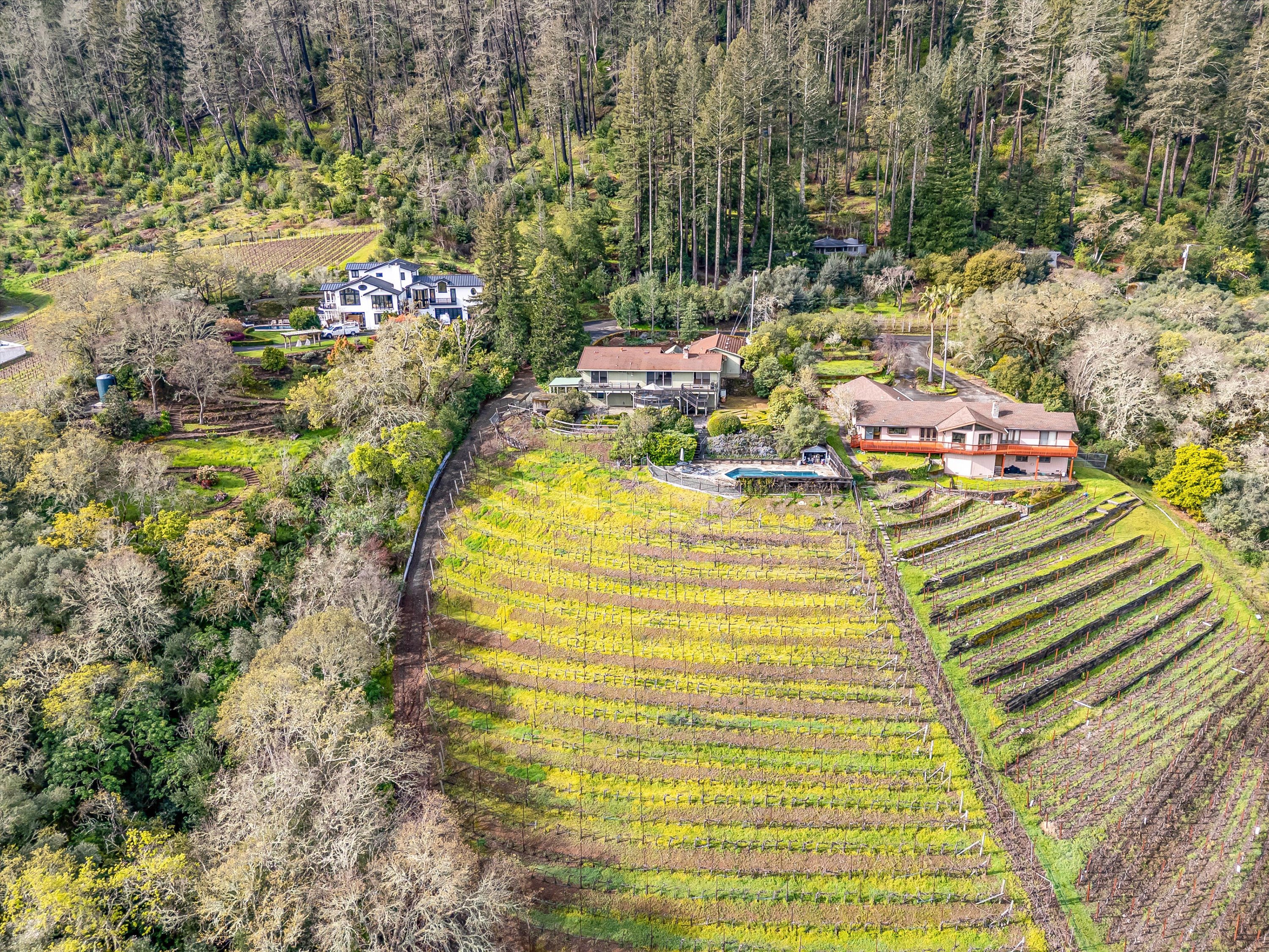1291 Rockland Drive St. Helena, CA 94574 - Photo 25 of 26 a view of a swimming pool with a yard