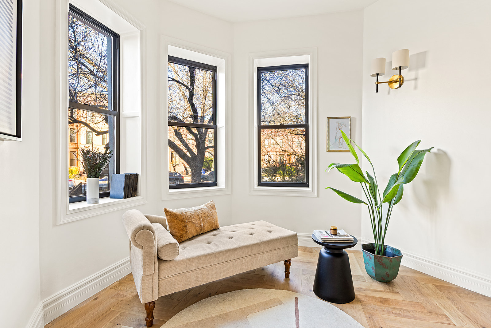 966 St Johns Place Brooklyn, NY 11213 - Photo 2 of 20 a living room with furniture and a potted plant