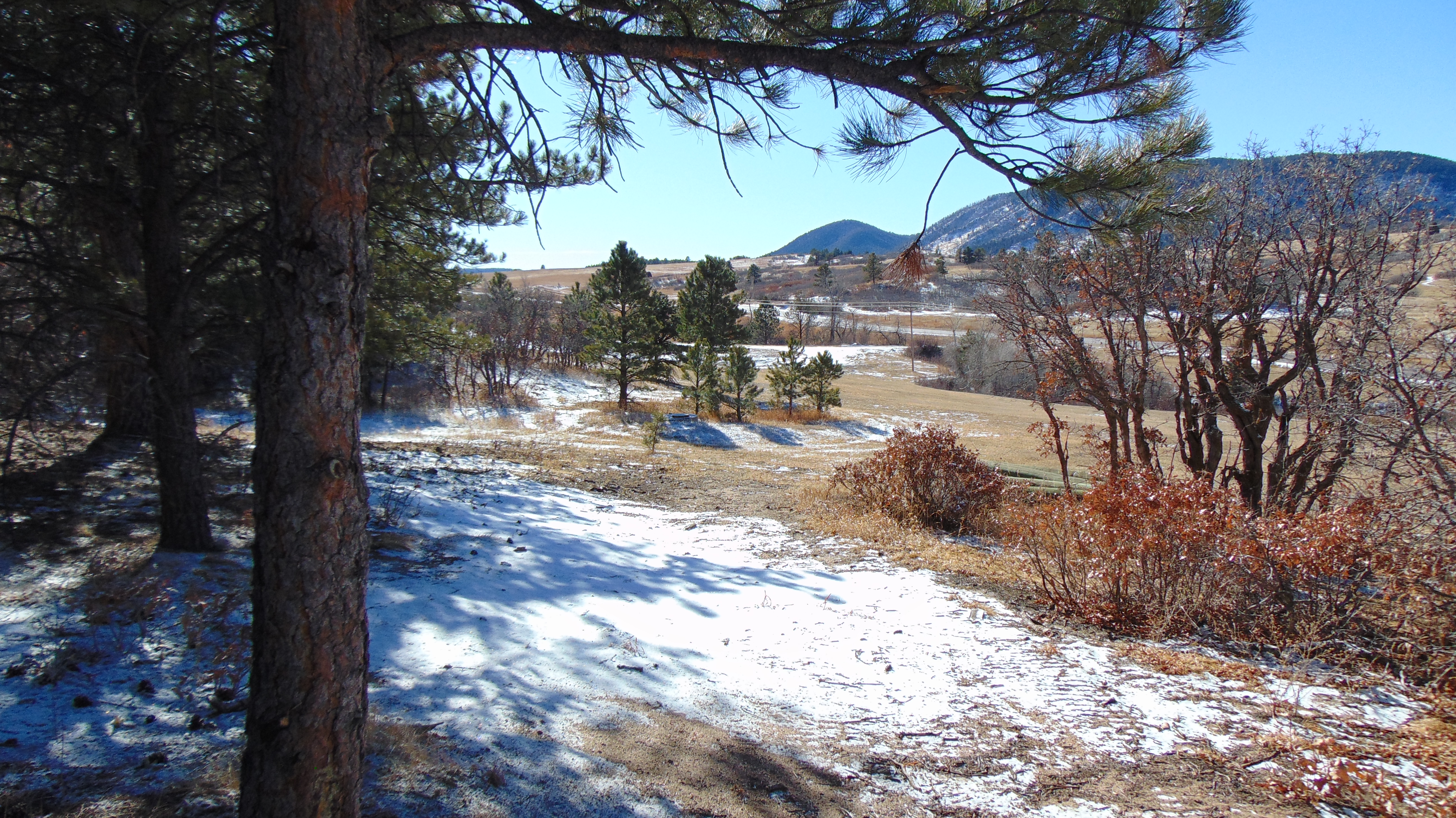 9676 South Perry Park Road Larkspur, CO 80118 - Photo 8 of 16