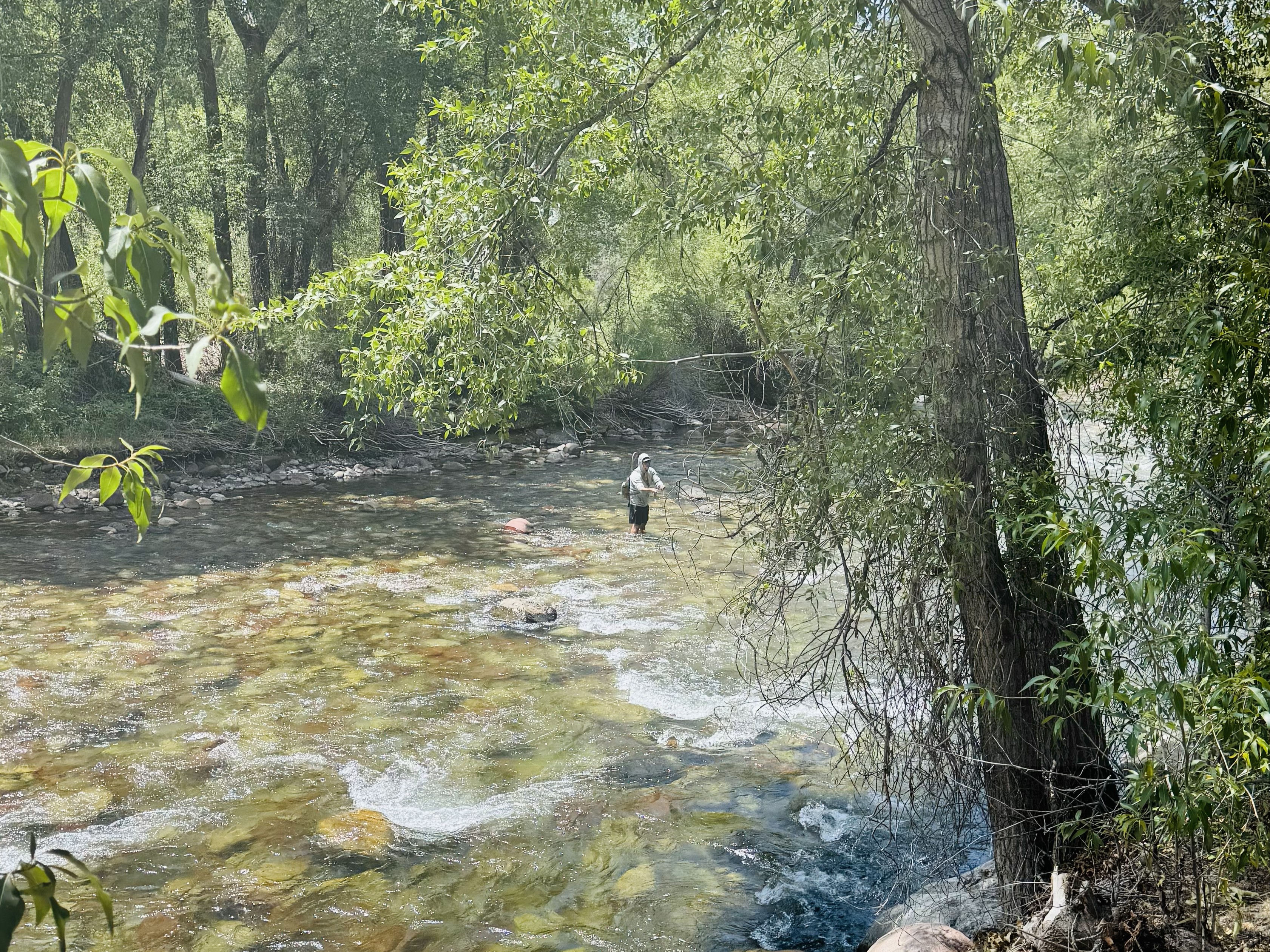 23286 Two Rivers Road, Unit 23 Basalt, CO 81621 - Photo 3 of 14 a backyard of a house with lots of green space