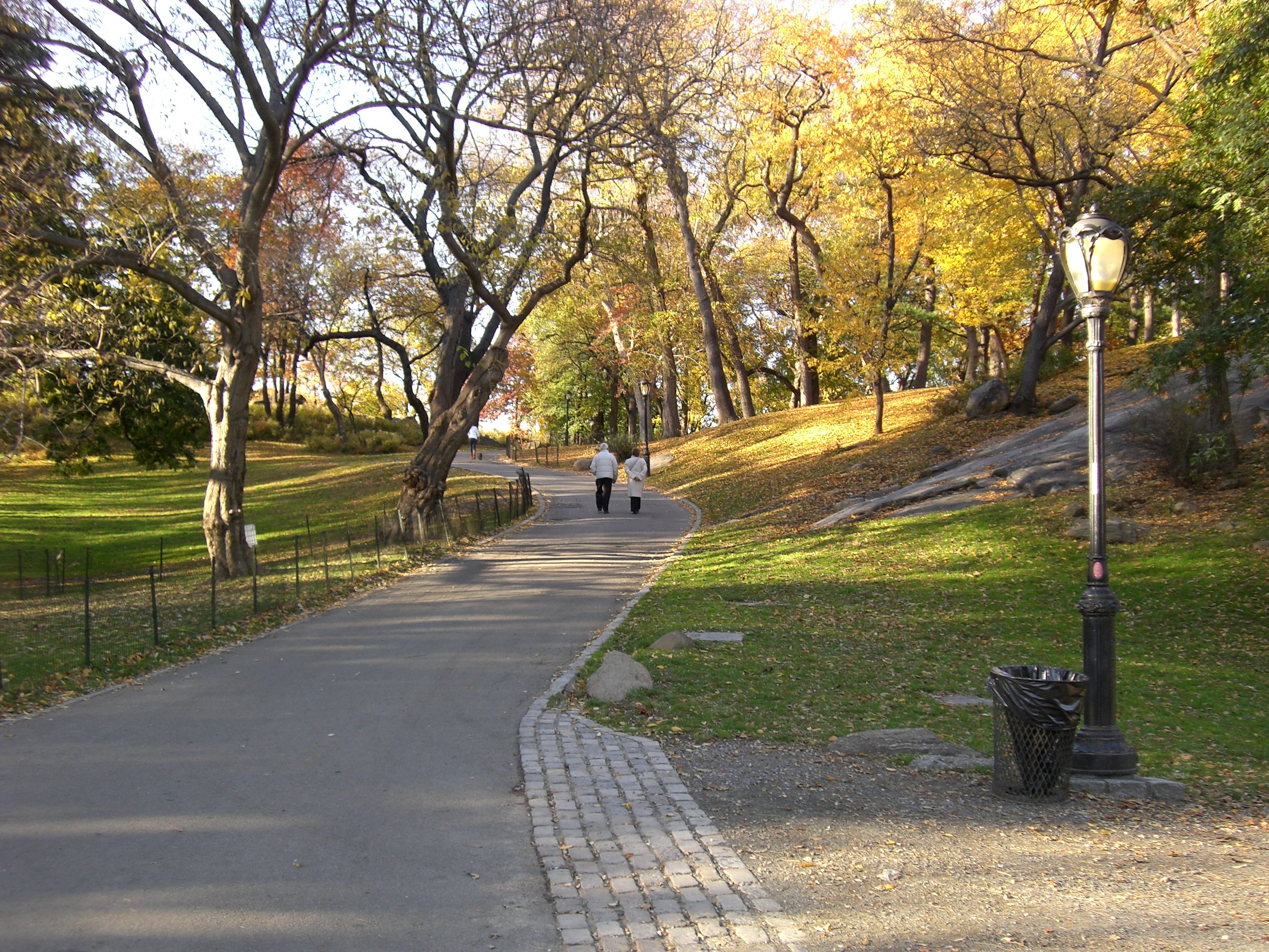 1255 5th Avenue, Unit 6D Manhattan, NY 10029 - Photo 14 of 15 a view of a yard