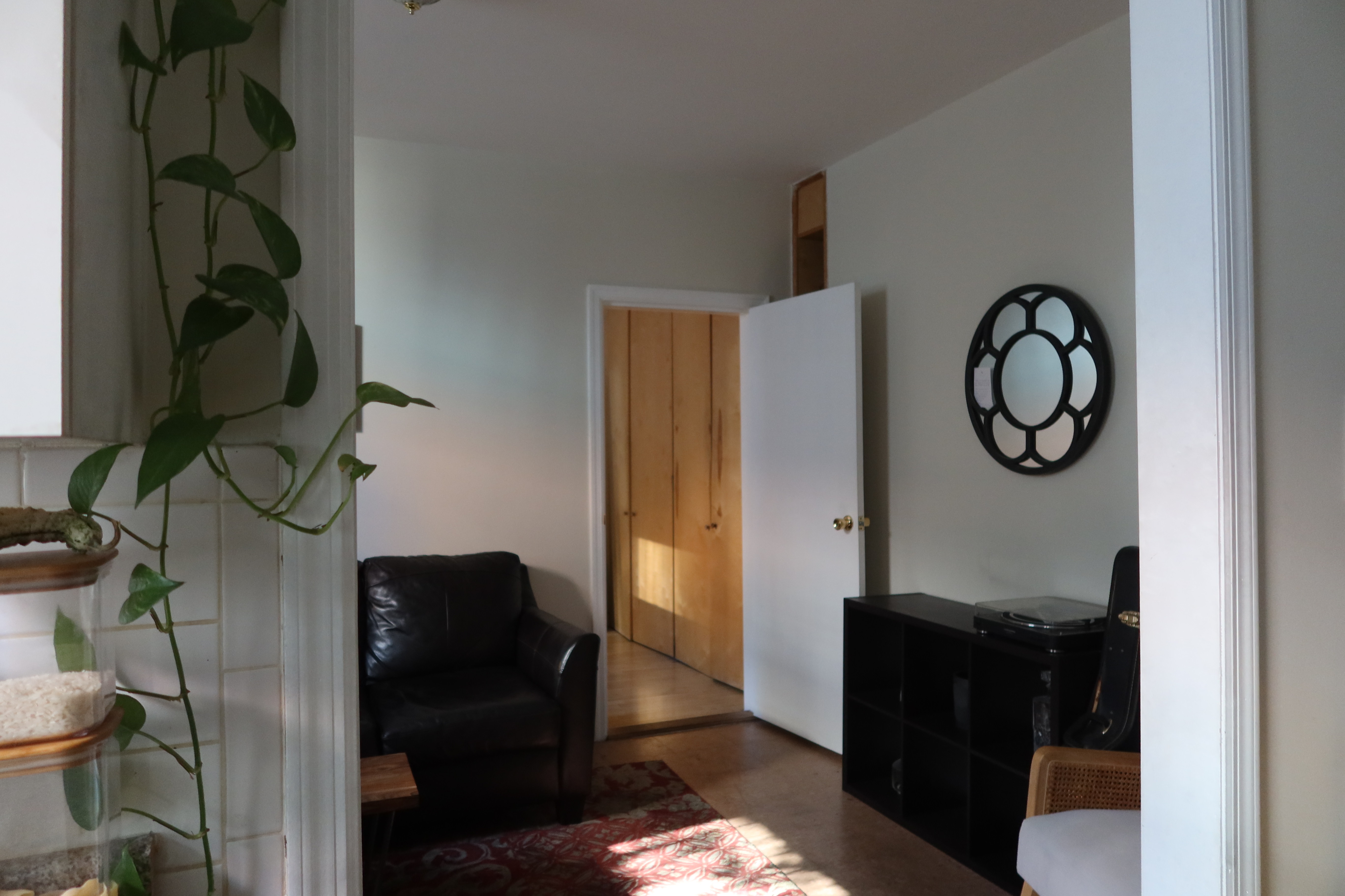 a living room with furniture a rug and a closet