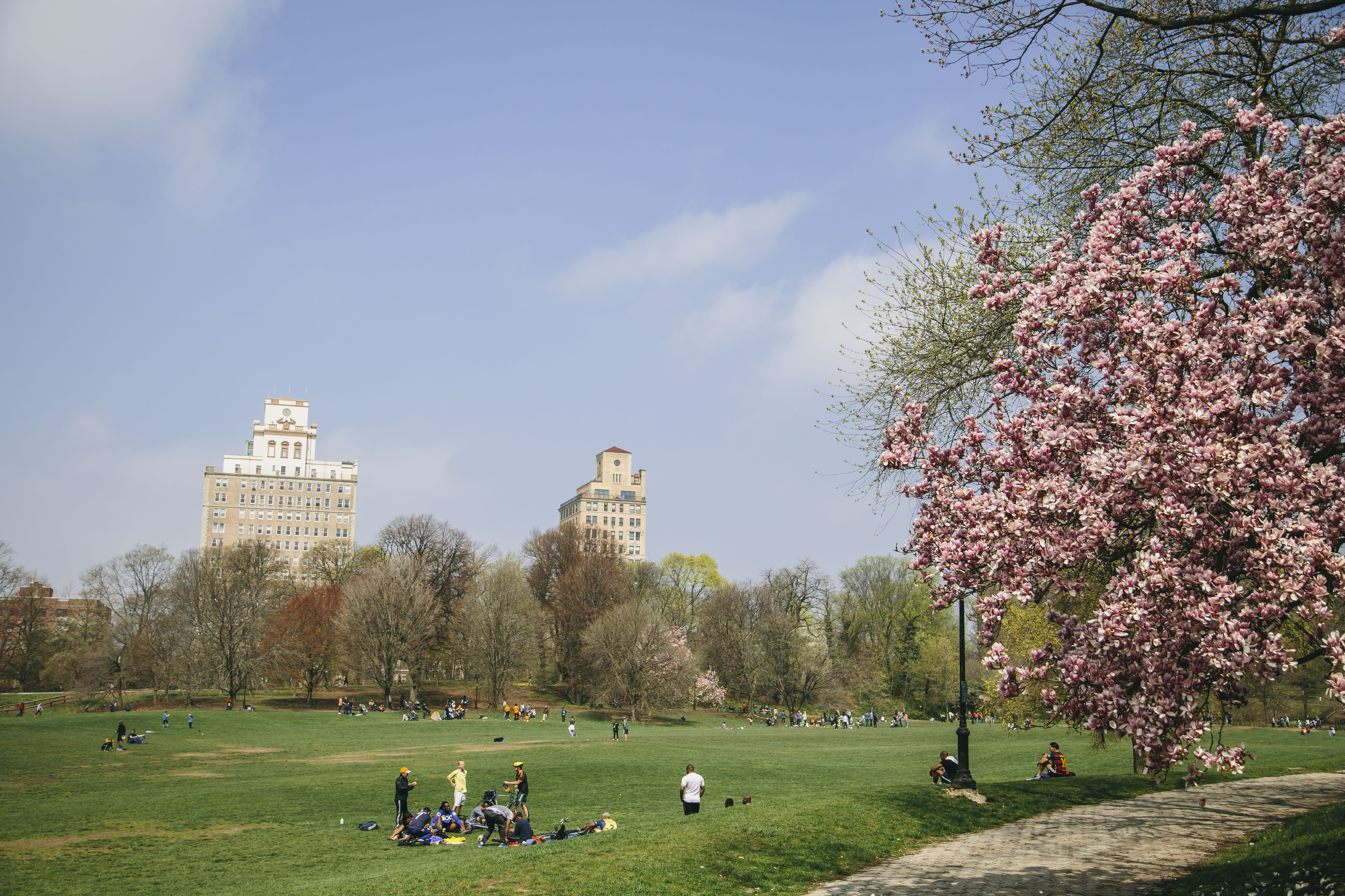 573 6th Street Brooklyn, NY 11215 - Photo 11 of 11 a view of a green field