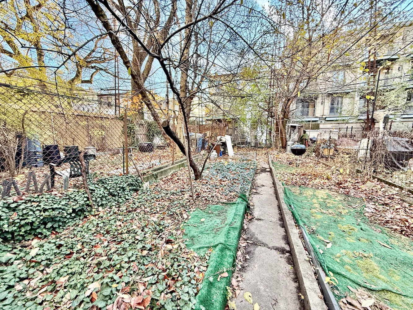 a pathway of a yard with plants and large trees