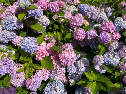 $5,950,000 | 89 Cobb Road, Water Mill, NY 11976