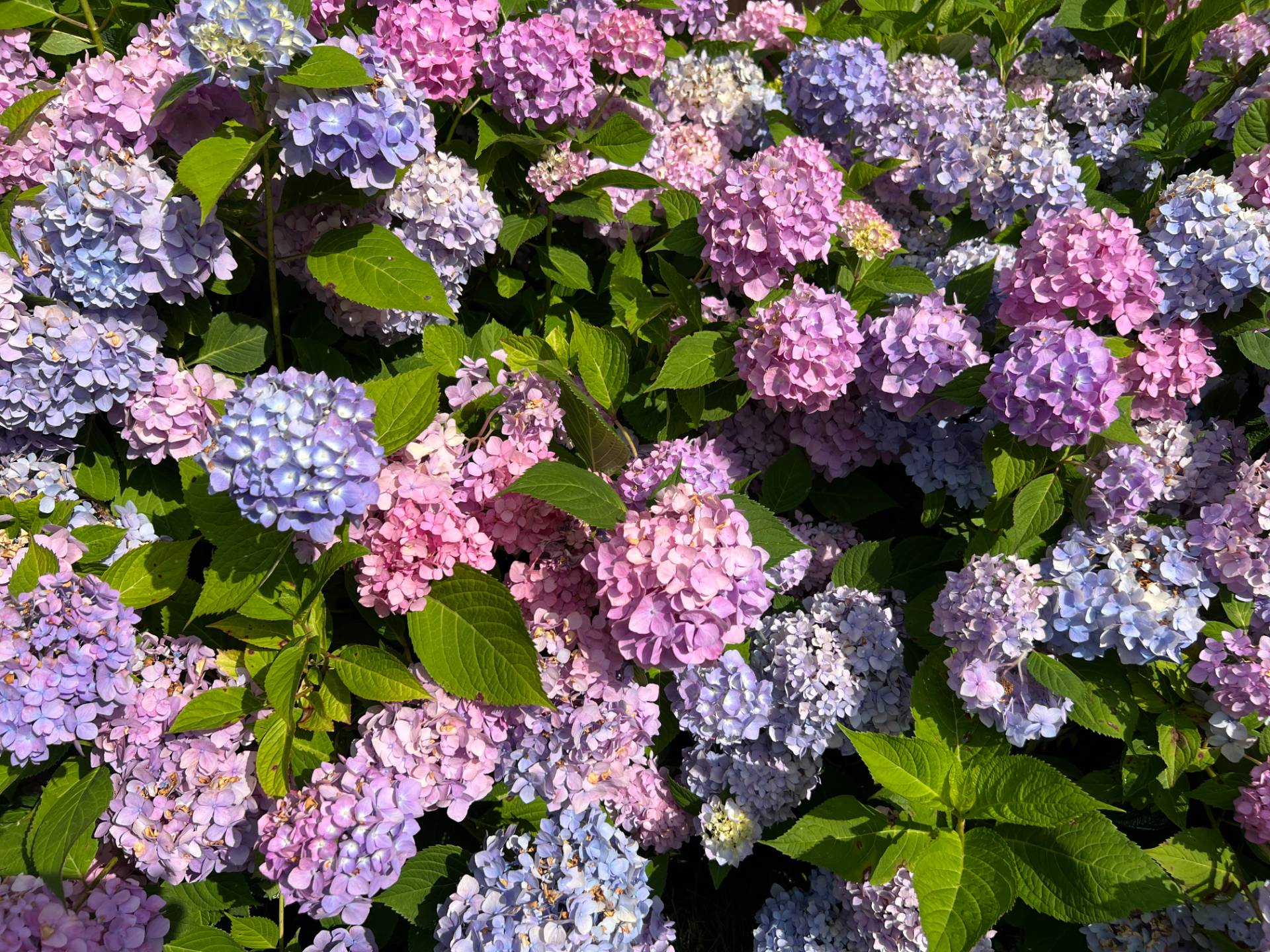 89 Cobb Road Water Mill, NY 11976 - Photo 40 of 48