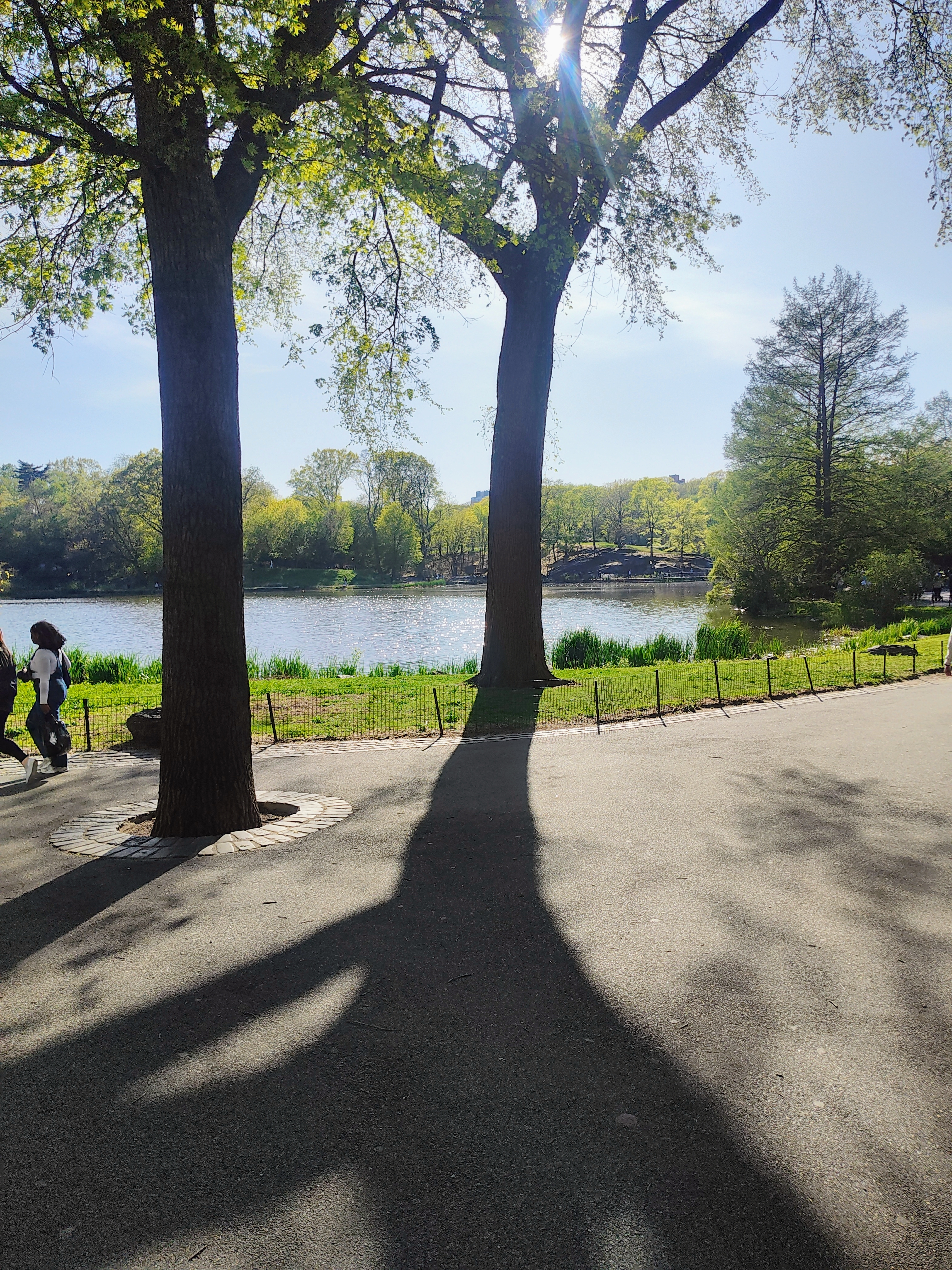 1270 5th Avenue, Unit 12C Manhattan, NY 10029 - Photo 16 of 18 a view of a road with a yard and a large tree