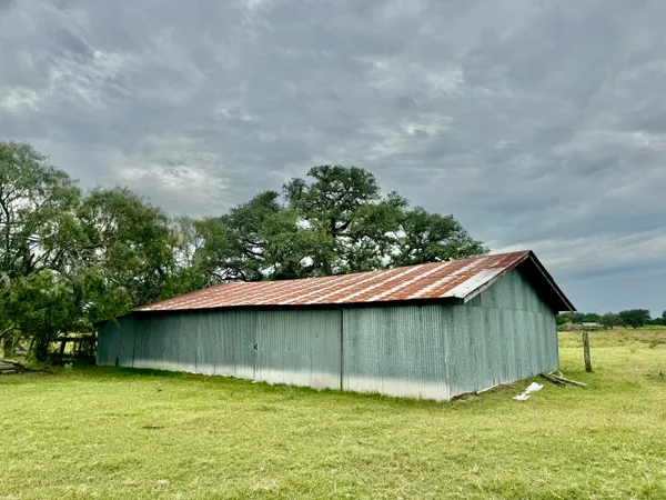 a big yard with trees