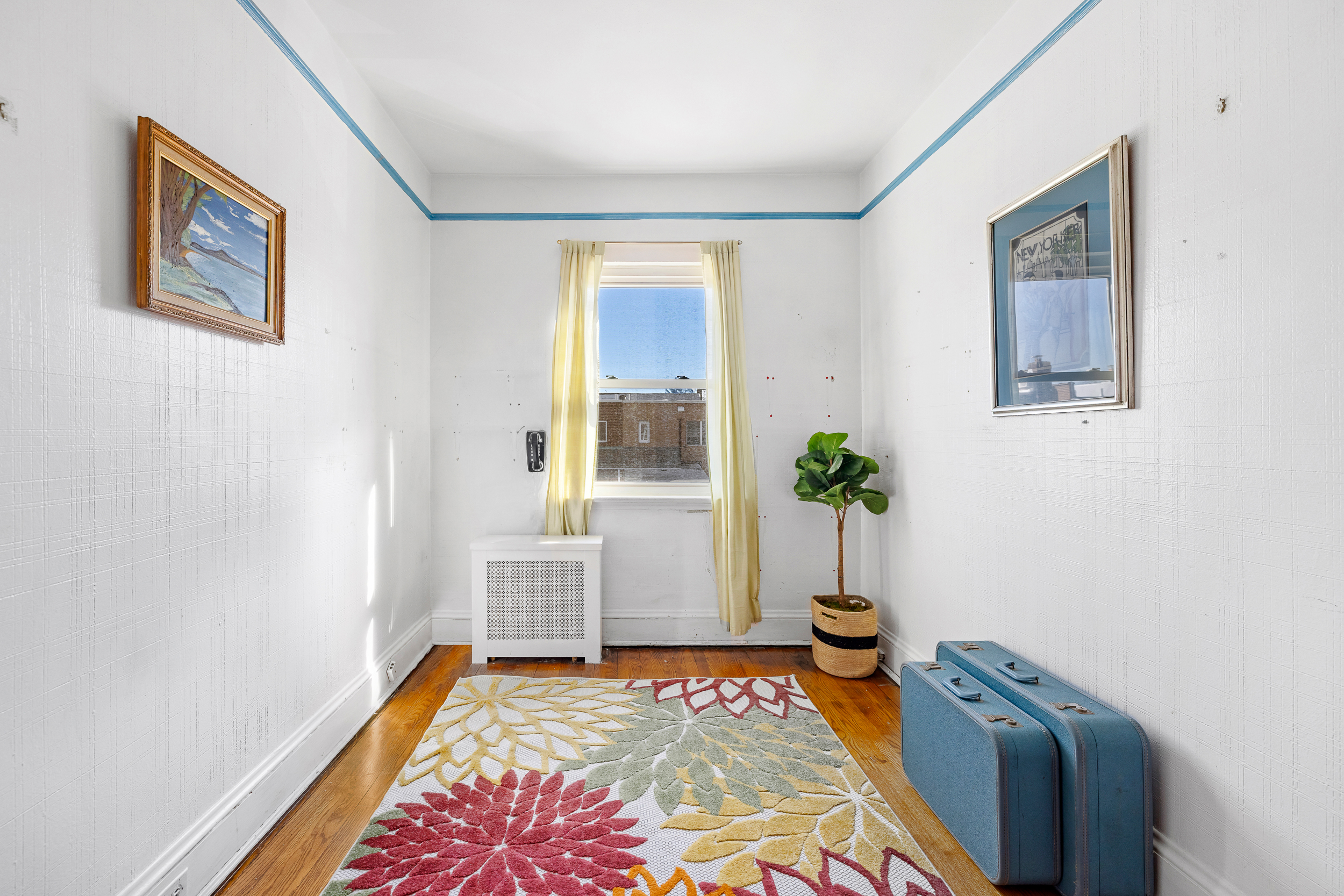77-09 82nd Street Queens, NY 11385 - Photo 13 of 19
