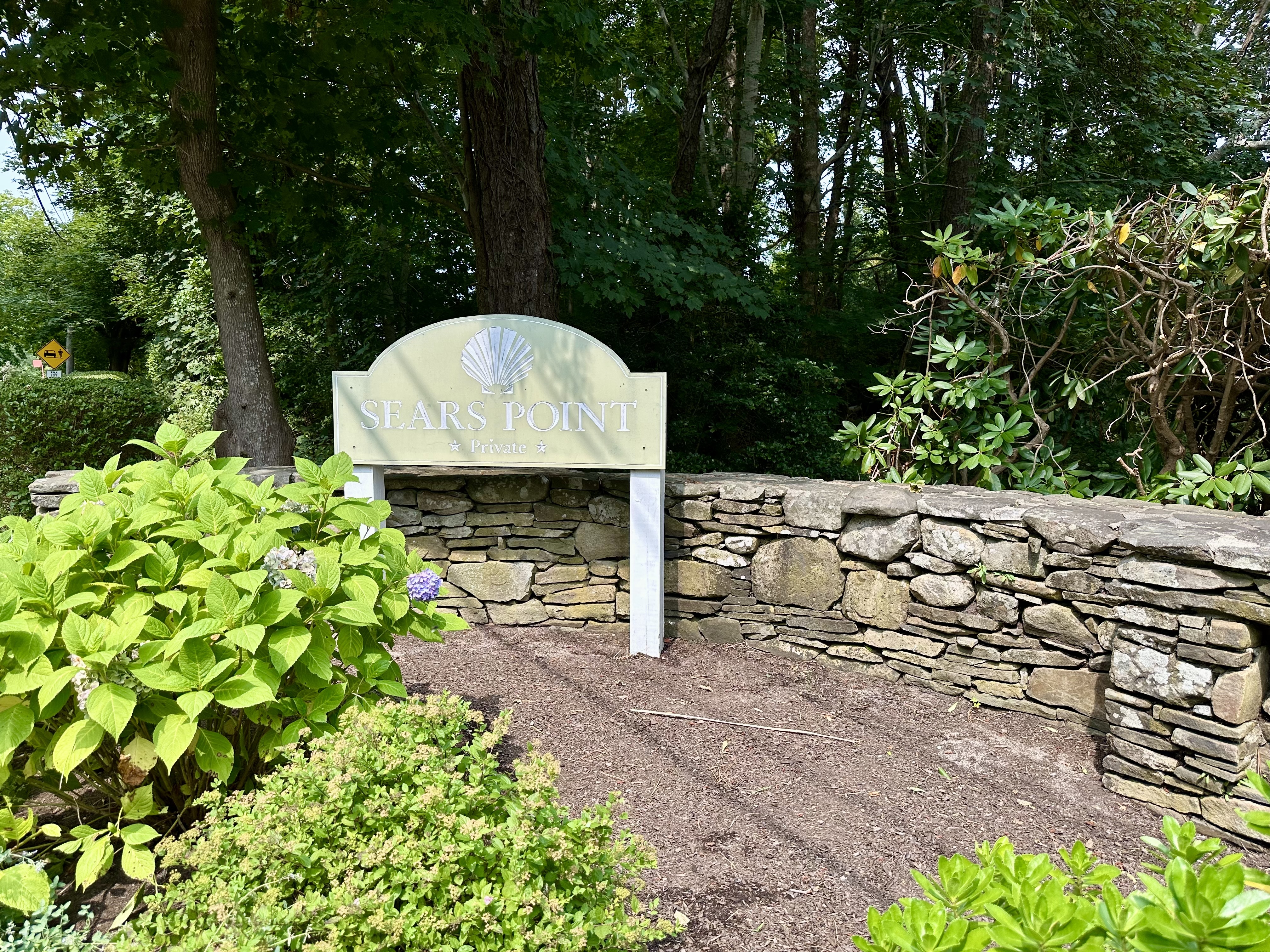 a view of a bench in a garden