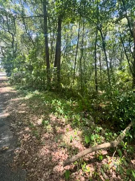$27,000 | 205 Washington Lane, Green Cove Springs, FL 32043