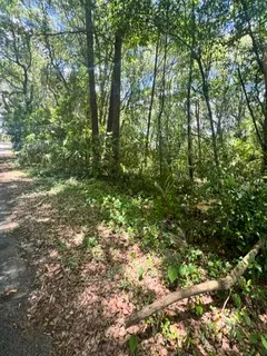 $27,000 | 205 Washington Lane, Green Cove Springs, FL 32043
