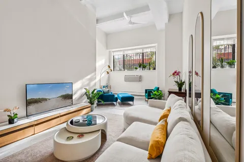 a living room with furniture and a potted plant