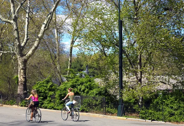 $8,895 | 101 West 55th Street, Unit 711 | Midtown Central