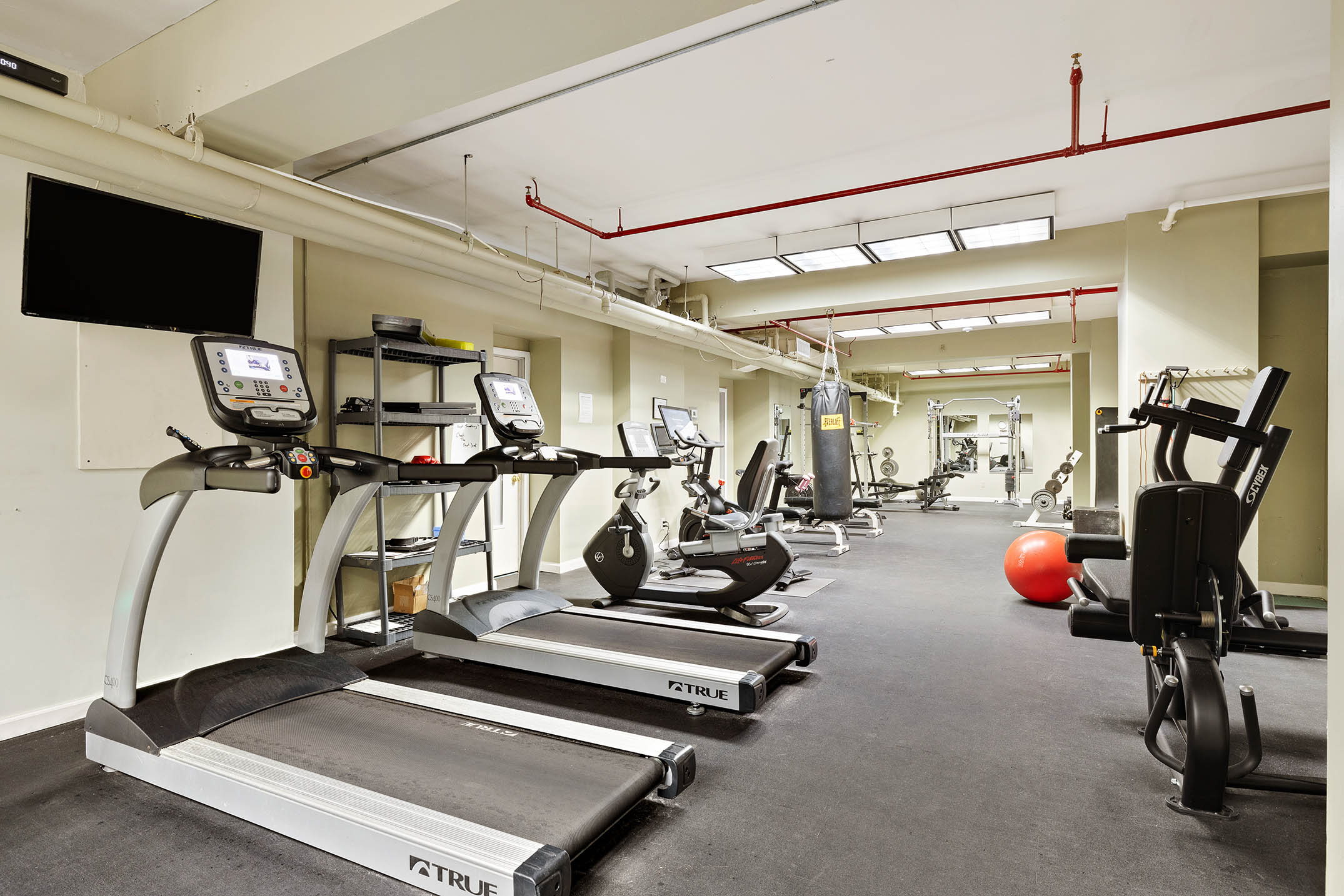 1 Tiffany Place, Unit 2F Brooklyn, NY 11231 - Photo 10 of 12 a room with gym equipment and mirror