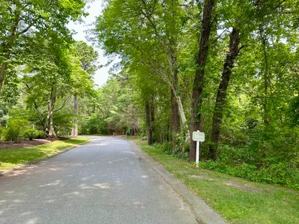 a view of a street with a bench and trees