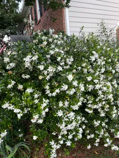 $949,000 | 4117 Worley Drive, Raleigh, NC 27613