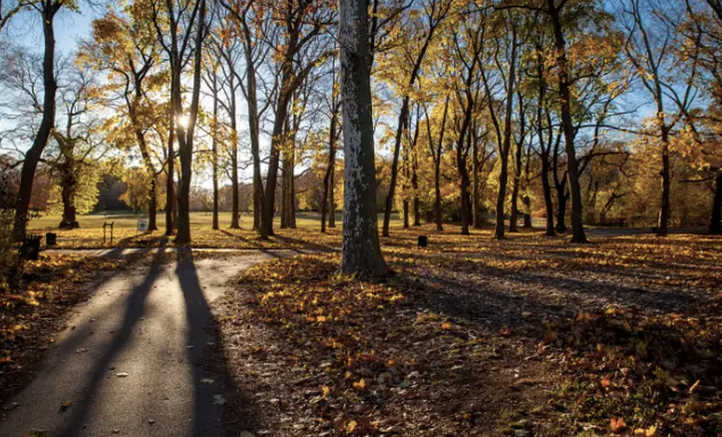 656 Union Street, Unit 2 Brooklyn, NY 11215 - Photo 12 of 12 a view of park space