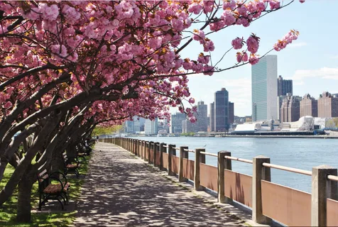 $829,000 | 551 Main Street, Unit 208 | Roosevelt Island