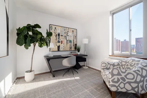 a living room with furniture and a potted plant