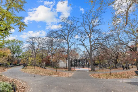 a view of road and trees