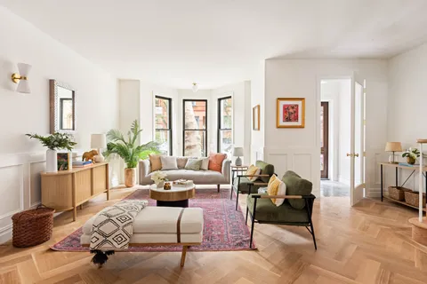 a living room with furniture or couch and a potted plant