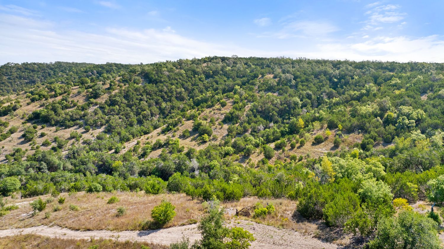 a view of a field with a tree in the background