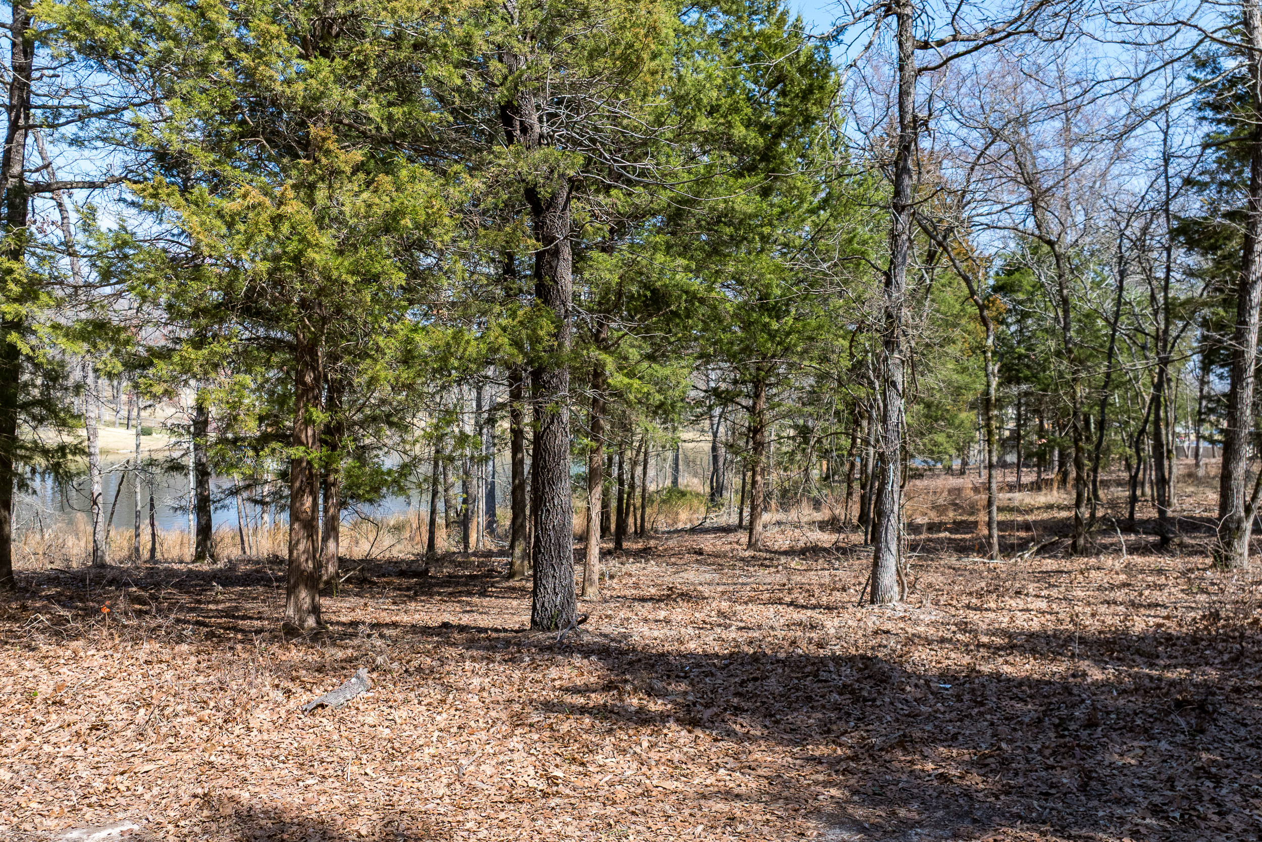 3370 Windward Court Athens, TX 75751 - Photo 17 of 17