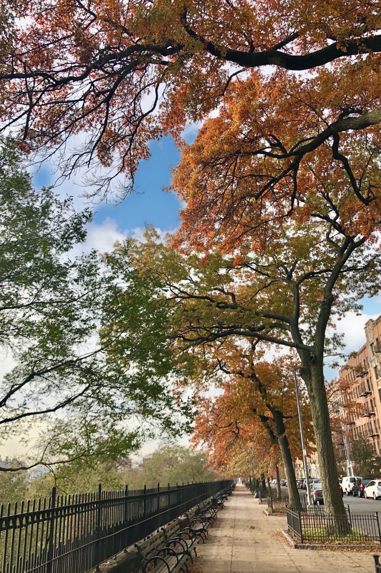 409 Edgecombe Avenue, Unit 2B Manhattan, NY 10032 - Photo 22 of 27