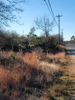 a view of a lake with lots of trees