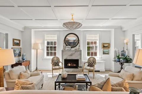 a living room with furniture a fireplace and a potted plant