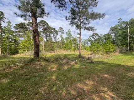 $15,000 | Lake Forest Drive, Livingston, TX 77351