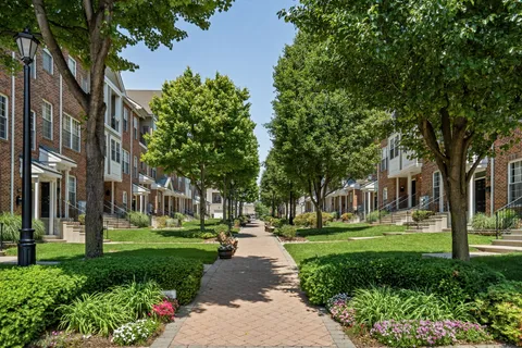 a park view with large trees