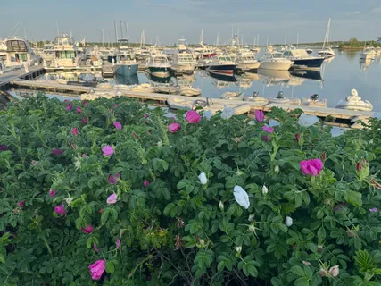 $1,295,000 | 1090 Shore Road, Unit U13, Pocasset, MA 02559
