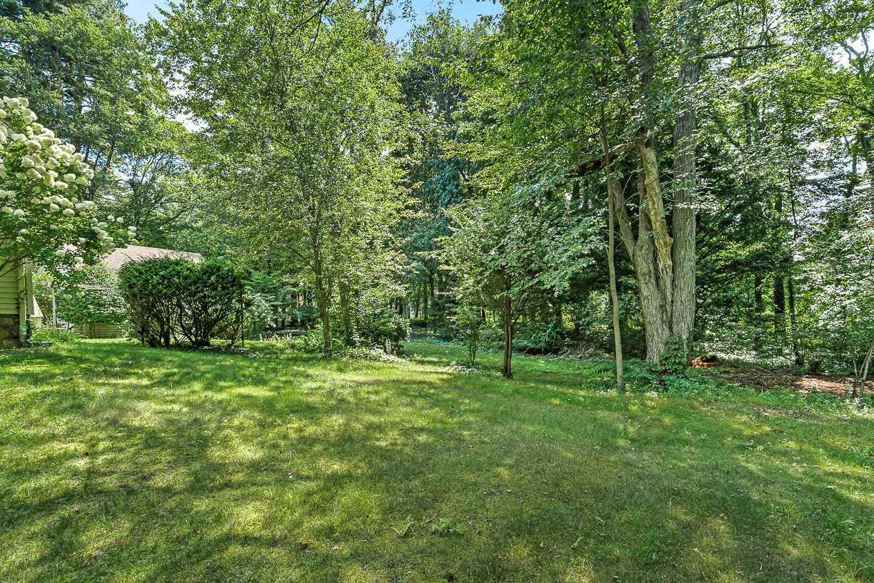 53 Elmwood Road Wellesley, MA 02481 - Photo 7 of 8 Gallery Image 7