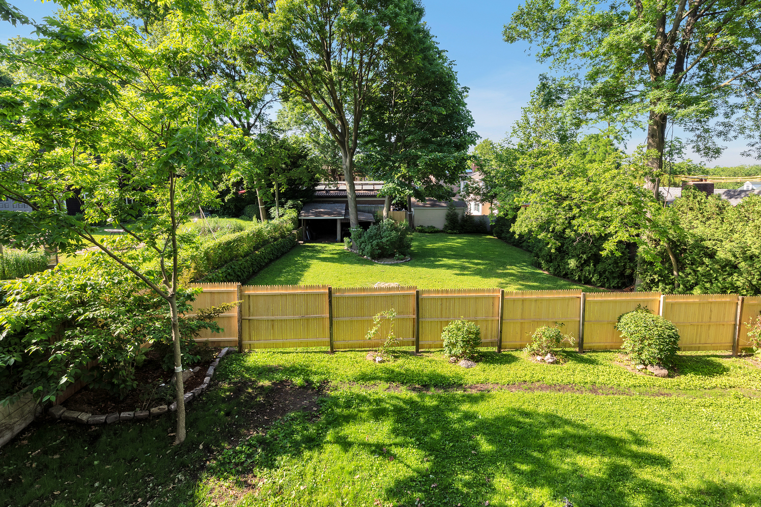 242-09 Pine Street Queens, NY 11363 - Photo 20 of 21 a view of a yard with large trees
