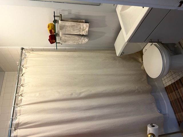 6 Centre Market Place, Unit 3 Manhattan, NY 10013 - Photo 8 of 9 a white toilet sitting next to a shower curtain