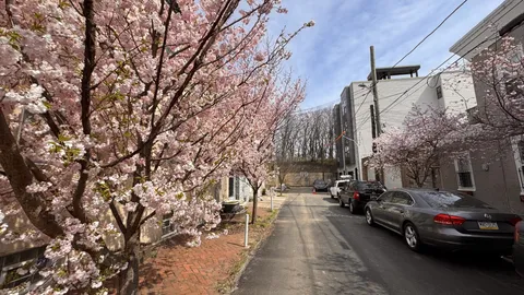 $915,000 | Livingston Street, Philadelphia, PA 19134
