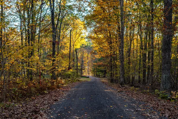 $225,000 | 117 White Oaks Road, Beach Lake, PA 18405