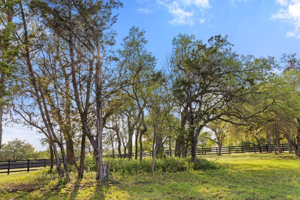 2560 Bell Springs Road Dripping Springs, TX 78620 - Photo 8 of 42 a view of swimming pool with trees and green space