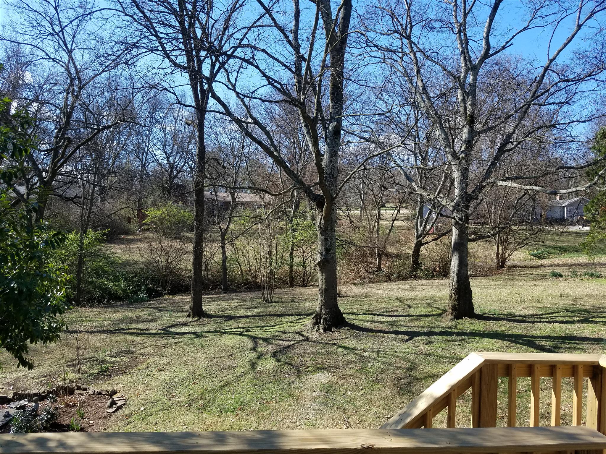 4425 Prescott Road Nashville, TN 37204 - Photo 26 of 26 a view of a yard with trees