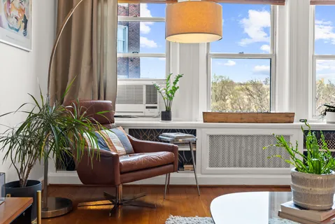 a living room with furniture potted plant and a fireplace