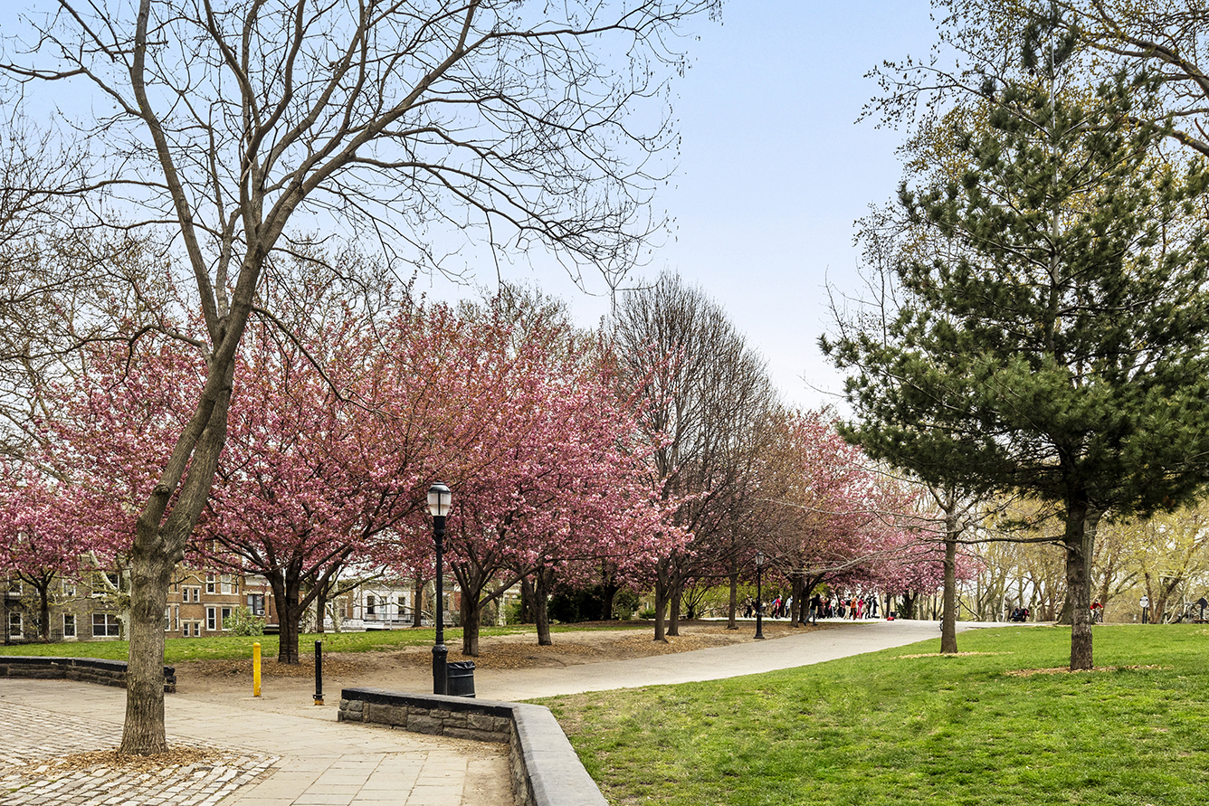 441 43rd Street Brooklyn, NY 11232 - Photo 18 of 21