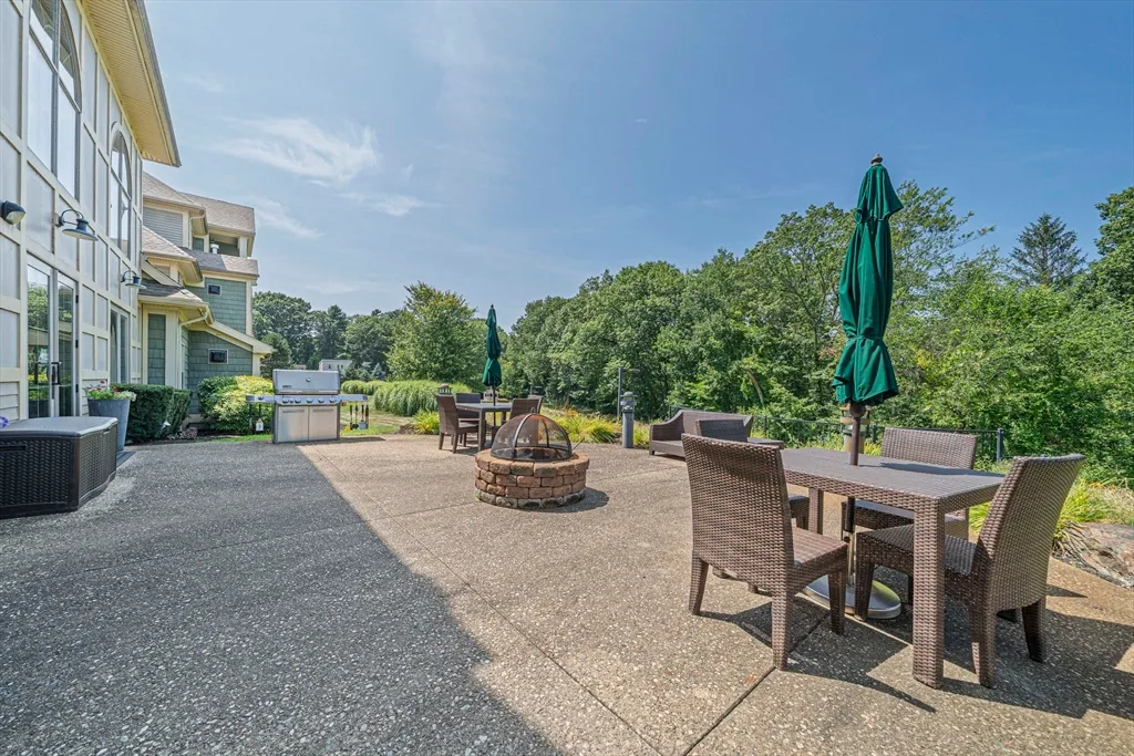 a view of backyard with outdoor seating and plants