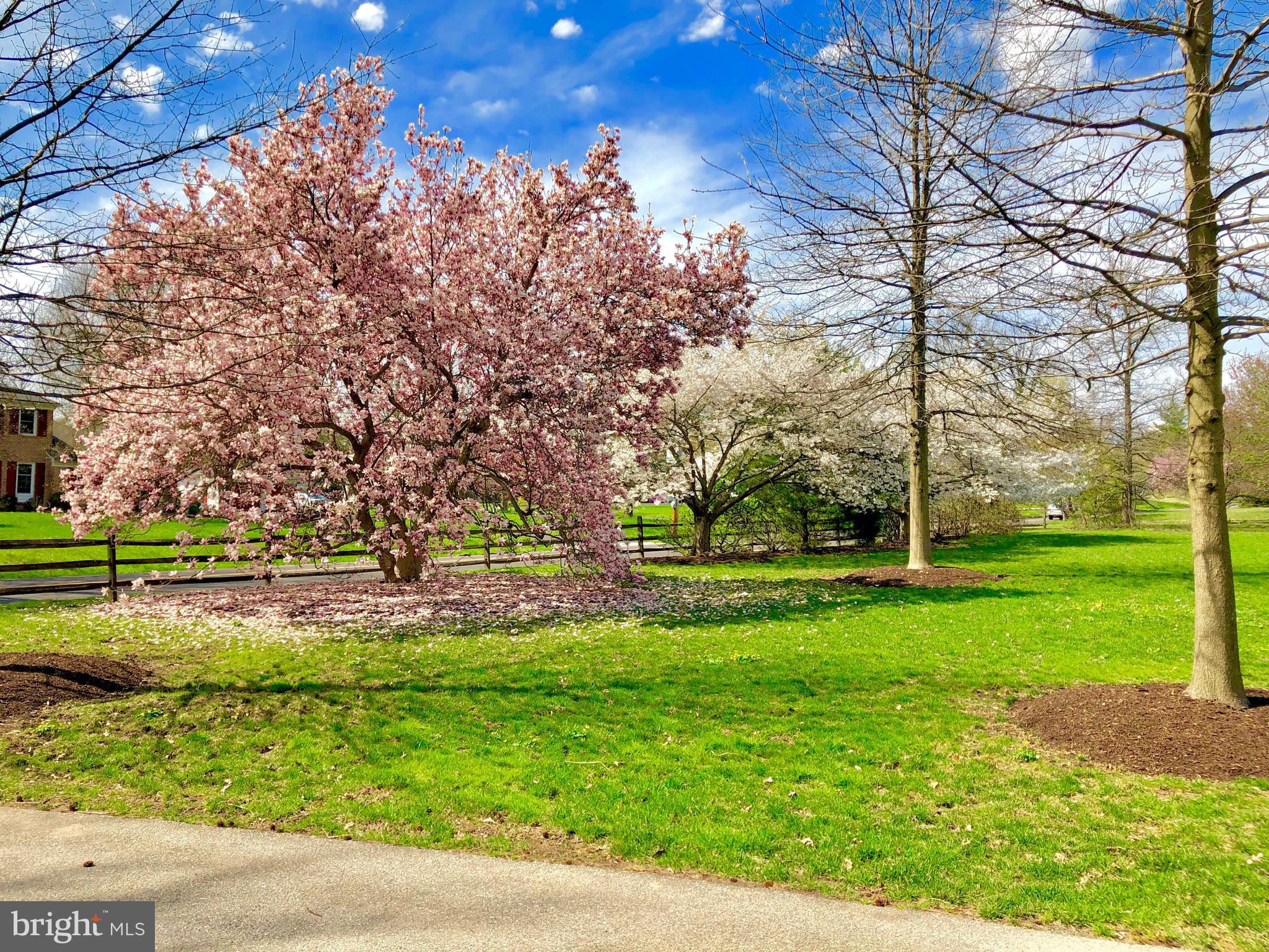 904 Plymouth Road Lower Gwynedd, PA 19002 - Photo 10 of 89