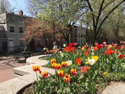 a view of yard with flowers and tree