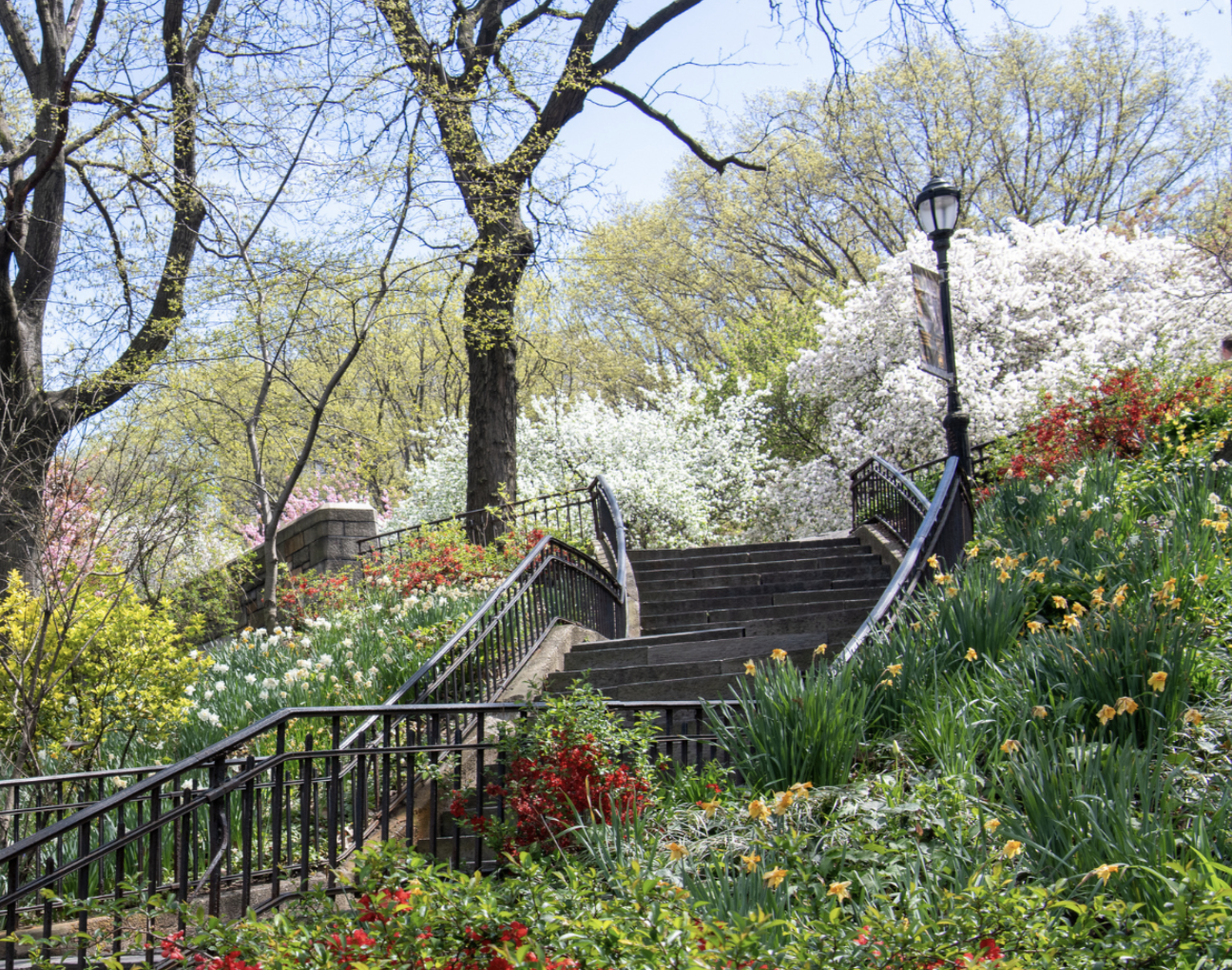 230 Riverside Drive, Unit 8C Manhattan, NY 10025 - Photo 9 of 10 a view of statue in the garden
